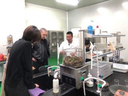 科技賦能農業新篇章 CCTV 1聚焦云谷田園LED植物工廠，珍稀本草金線蓮成功培育引領生物技術新服務